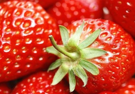 Клубника Киевская ранняя: описание и характеристики сорта садовой ...