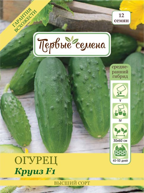 Огурец Круиз: описание и характеристики сорта, правила посадки и ...