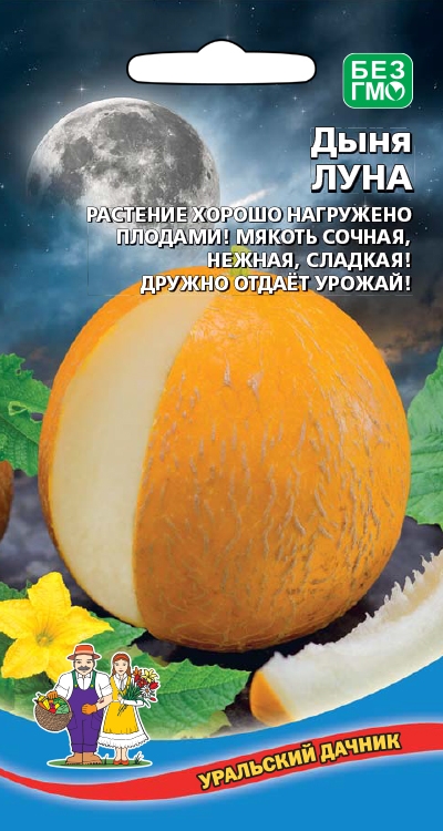 Дыня Луна: описание и характеристики сорта, особенности посадки и ...