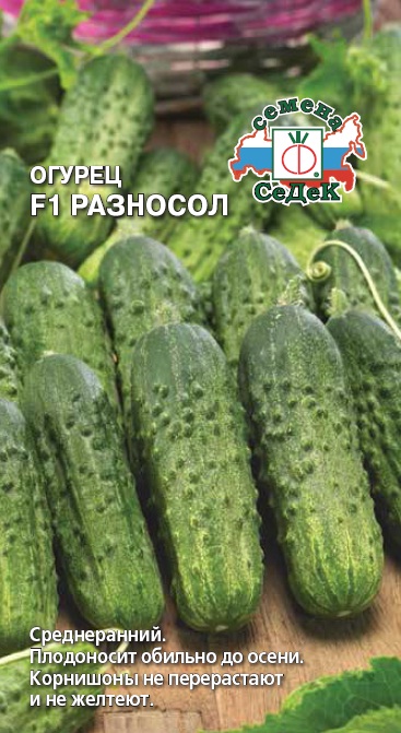 Огурец Разносол: описание и характеристики сорта, правила посадки и ...