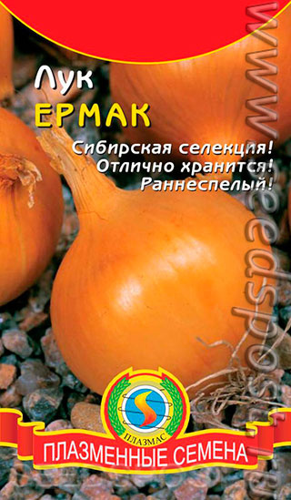 Лук Ермак: описание и характеристики сорта, агротехника посадки и ...