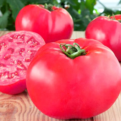 Томат Малиновый мясистый: описание сорта помидоров, характеристики ...