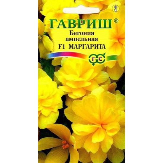 Бегония Маргарита: описание сорта, характеристики, особенности посадки ...