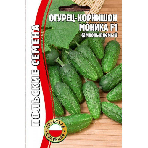 Огурец Моника: описание и характеристики сорта, правила посадки и ...