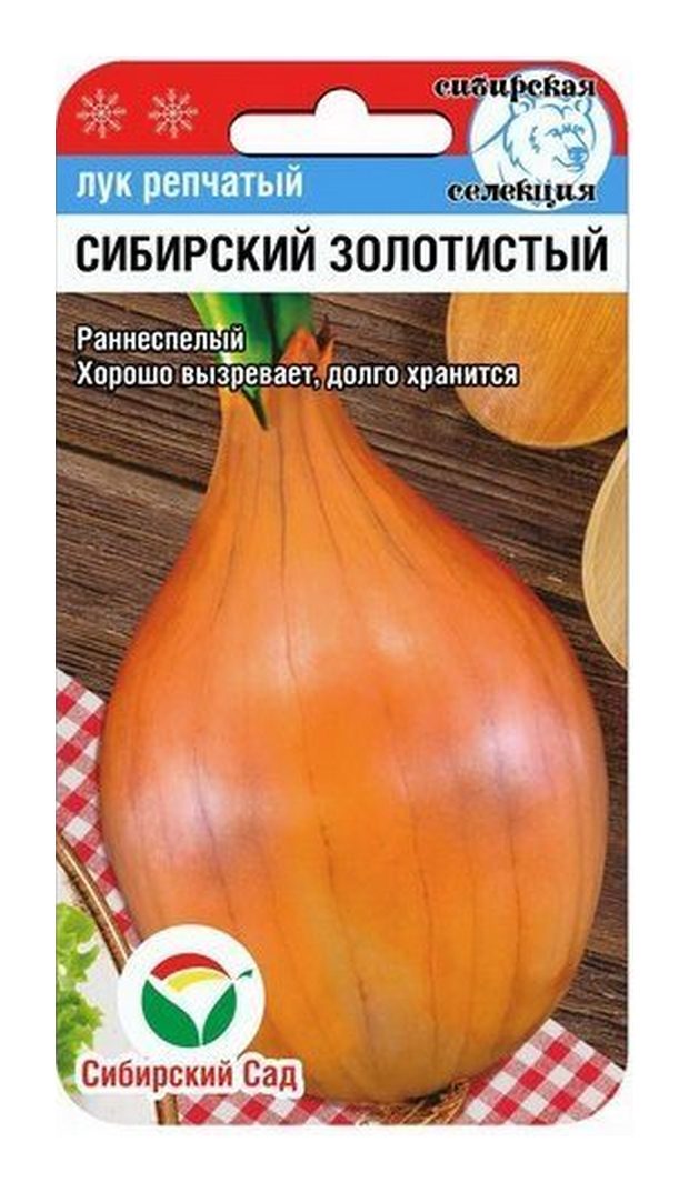 Лук Сибирский золотистый: описание и характеристики сорта, агротехника ...