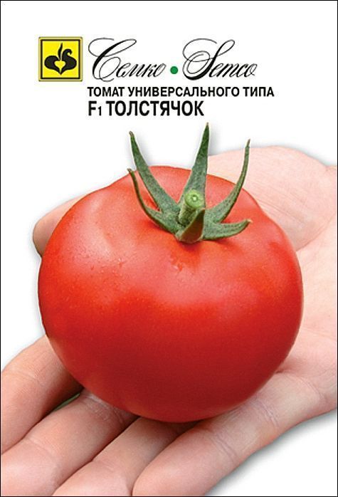 Томат Толстячок: описание сорта помидоров, характеристики. Особенности ...