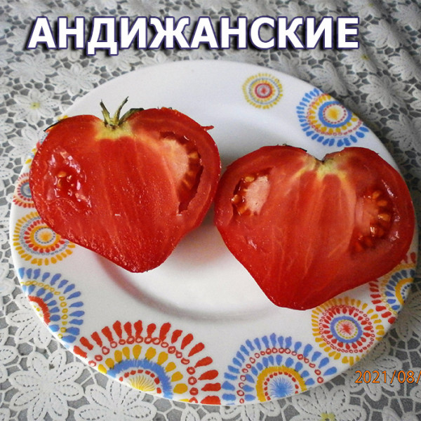 Томат Андижанские: описание сорта помидоров, характеристики ...