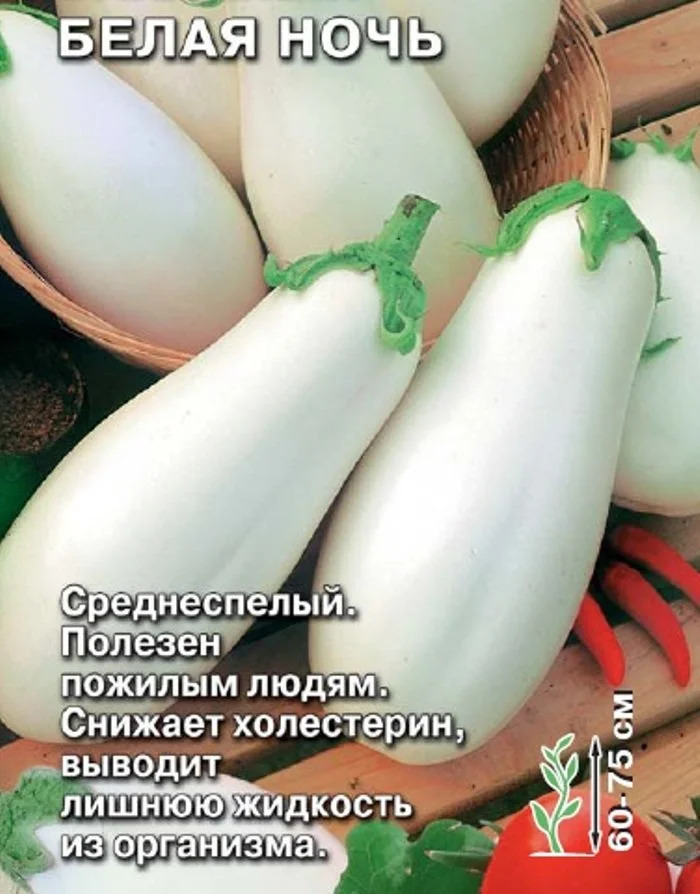 Баклажан Белая ночь: описание и характеристика сорта, агротехника ...