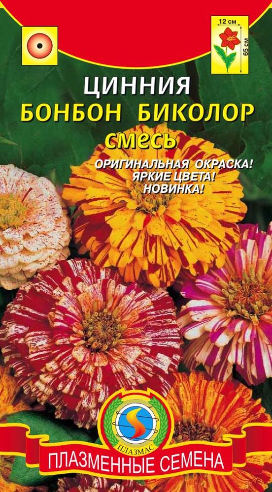 Цинния Бон-бон биколор (смесь окрасок): описание сорта, характеристики ...