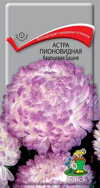 Астра Кварцевая башня: описание сорта, характеристики, особенности ...