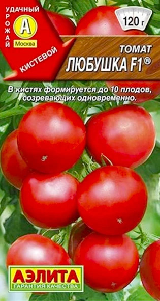 Томат Любушка: описание сорта помидоров, характеристики. Особенности ...