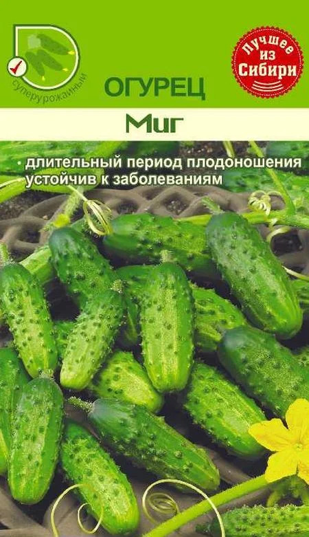 Огурец Миг: описание и характеристики сорта, правила посадки и ...