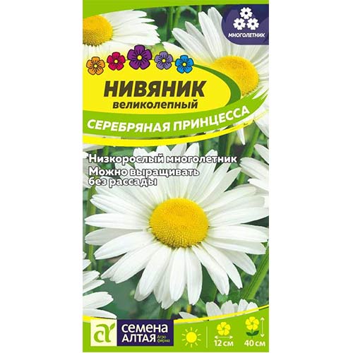 Нивяник (садовая ромашка) Серебряная Принцесса: описание сорта ...