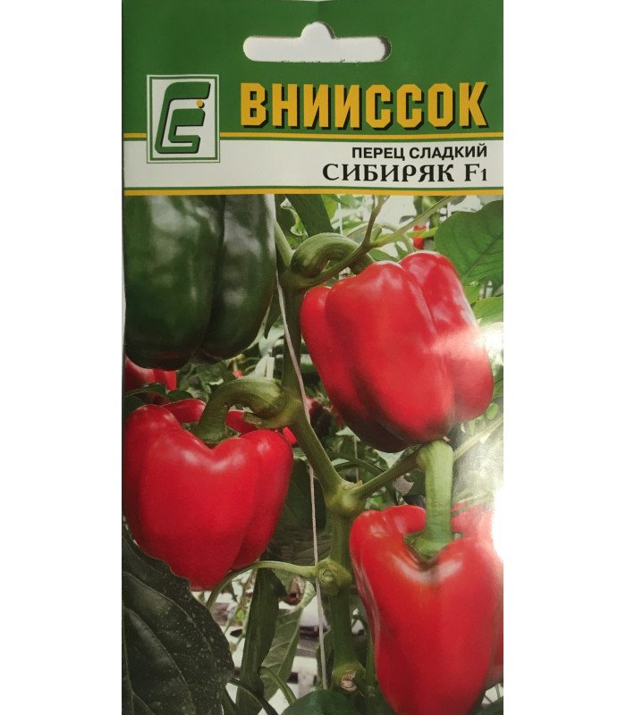 Перец Сибиряк: описание сорта, характеристика плодов, агротехника ...
