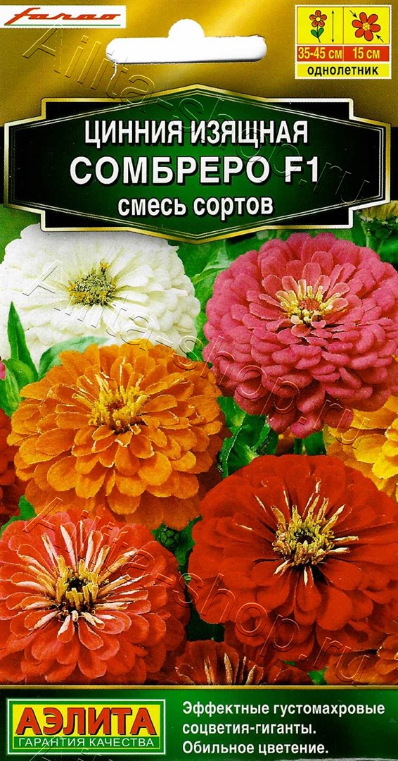 Цинния Сомбреро (смесь окрасок): описание сорта, характеристики ...