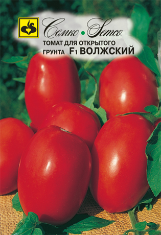 Томат Волжский: описание сорта помидоров, характеристики. Особенности ...