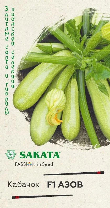 Кабачок Азов: описание и характеристики сорта, особенности посадки и ...