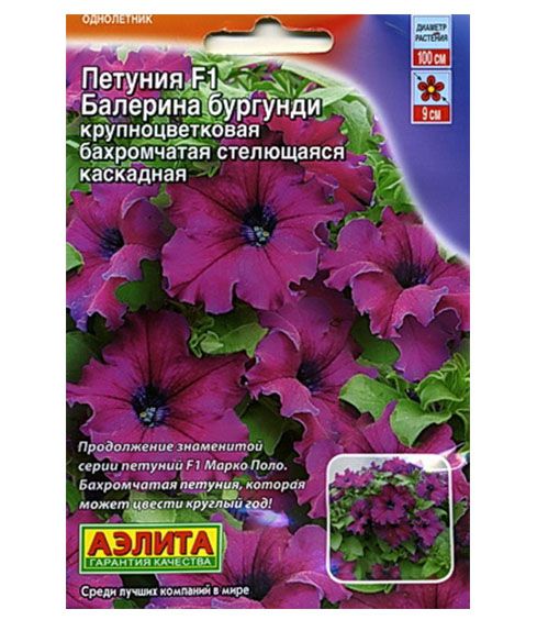 Петуния Балерина Бургунди: описание сорта, характеристики, тонкости ...