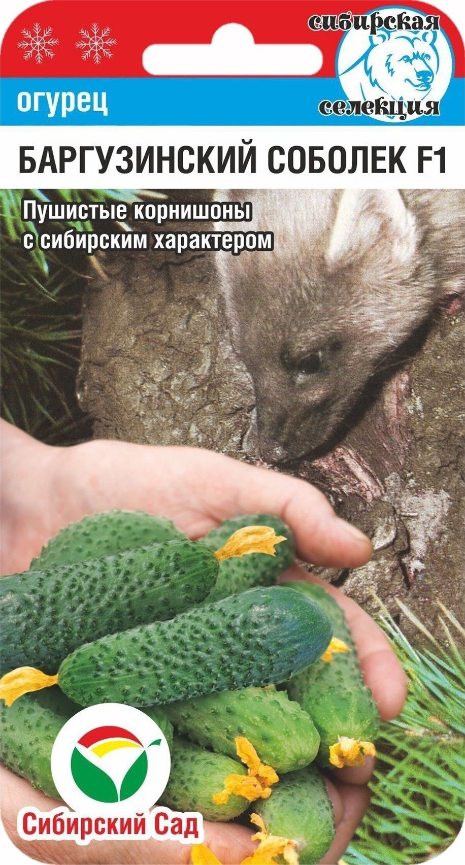 Огурец Баргузинский соболек: описание и характеристики сорта, правила ...