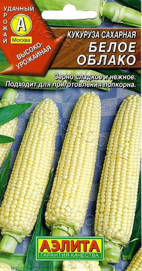 Кукуруза Белое облако: описание сорта, характеристики, особенности ...