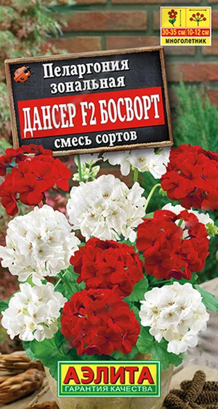 Пеларгония Дансер F2 Босворт: описание сорта, характеристики ...