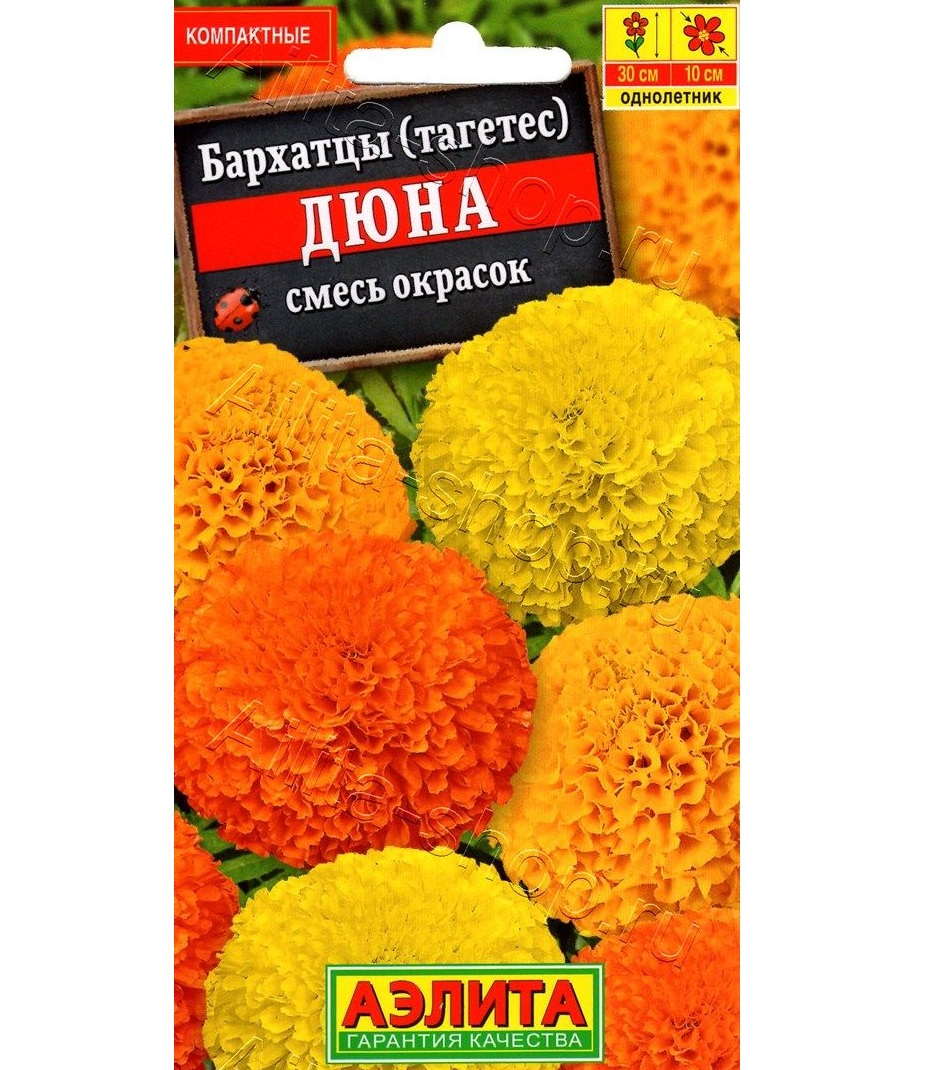 Бархатцы Дюна (смесь окрасок): описание и характеристики сорта бархоток ...