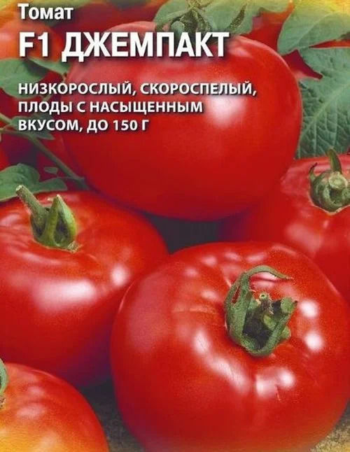 Томат Джемпакт: описание сорта помидоров, характеристики. Особенности ...