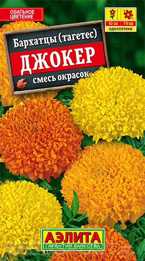 Бархатцы Джокер (смесь окрасок): описание и характеристики сорта ...