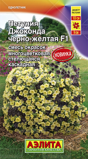 Петуния Джоконда черно-желтая: описание сорта, характеристики, тонкости ...