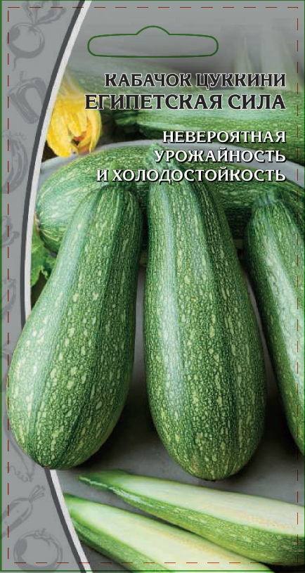 Кабачок Египетская сила: описание и характеристики сорта, особенности ...