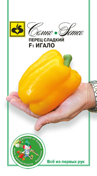 Перец Игало: описание сорта, характеристика плодов, агротехника ...