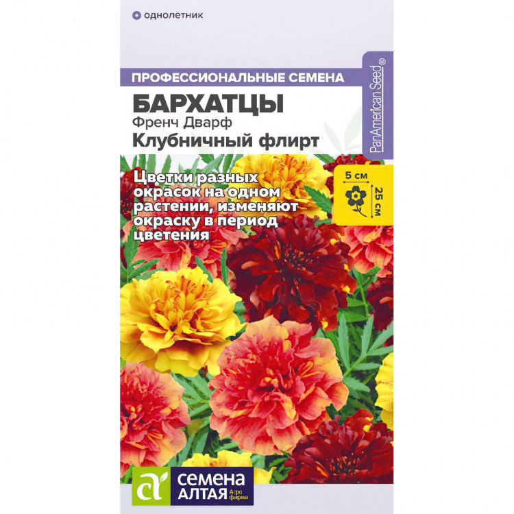Бархатцы Клубничный флирт: описание и характеристики сорта бархоток ...