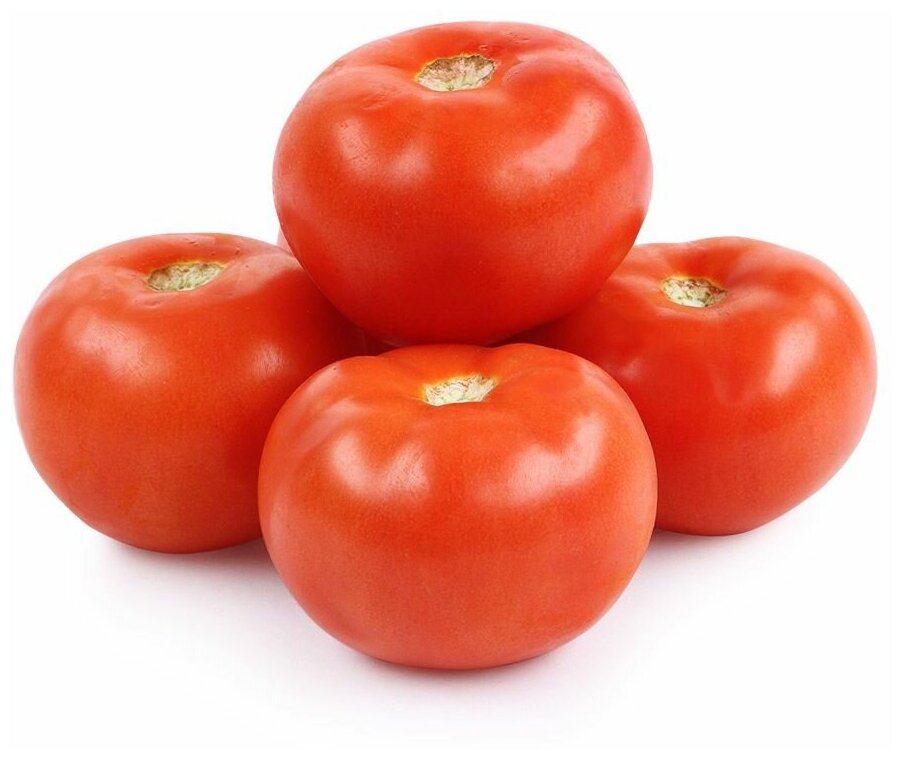 Томат Командор: описание сорта помидоров, характеристики. Особенности ...