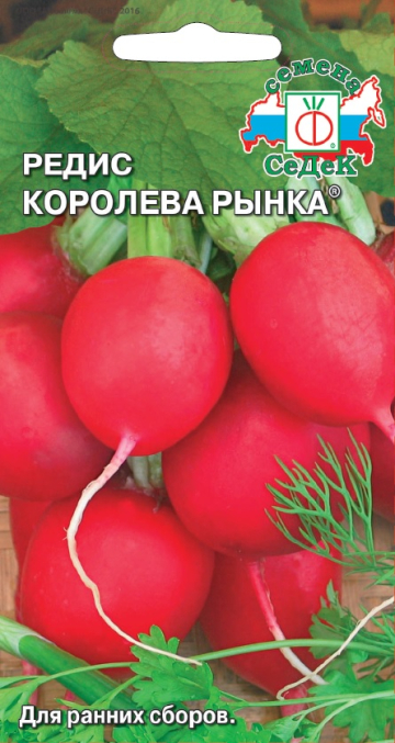 Редис Королева рынка: описание и характеристики сорта, особенности ...