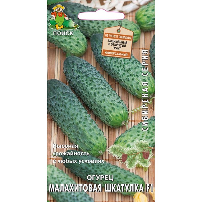 Огурец Малахитовая шкатулка: описание и характеристики сорта, правила ...