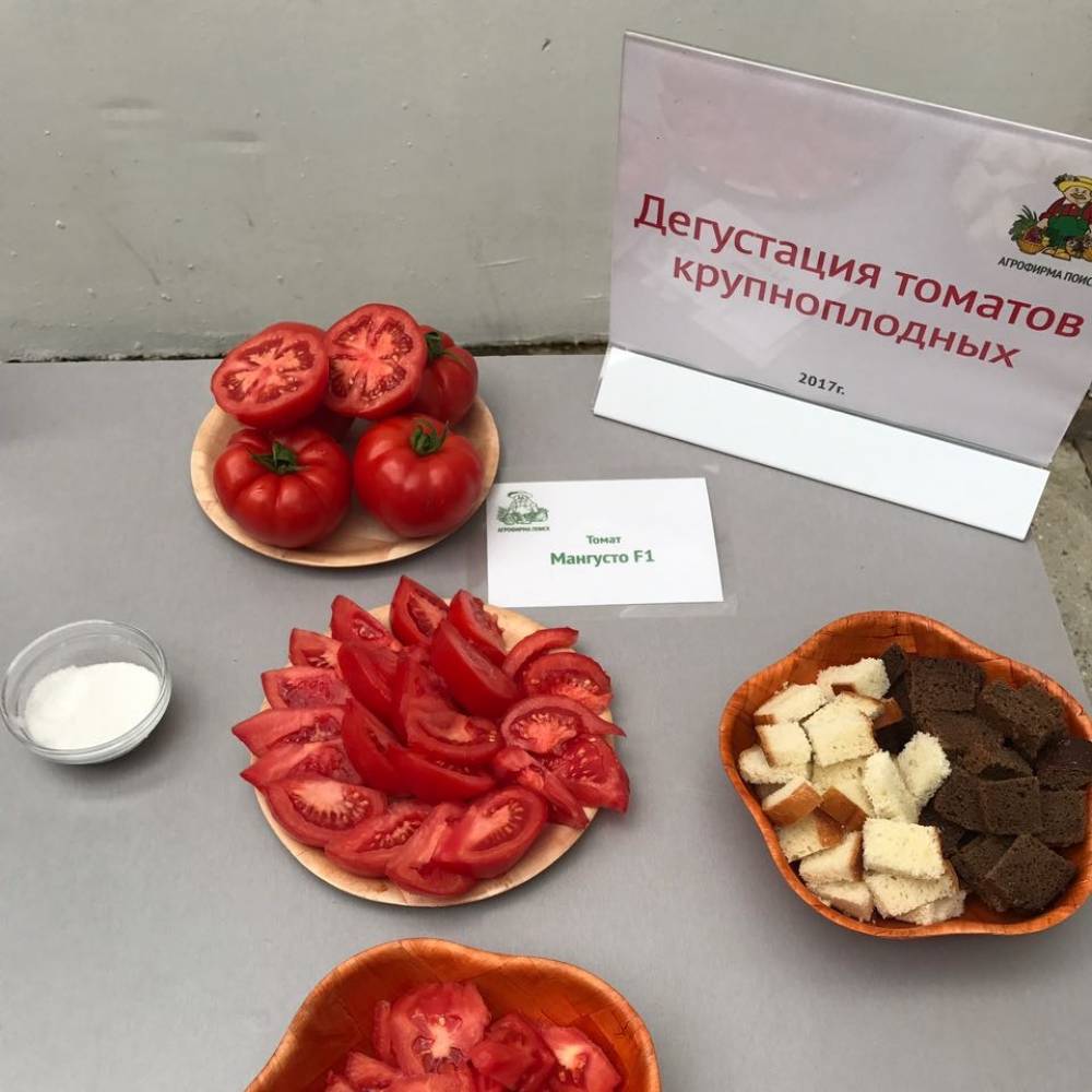 Томат Мангусто: описание сорта помидоров, характеристики. Особенности ...