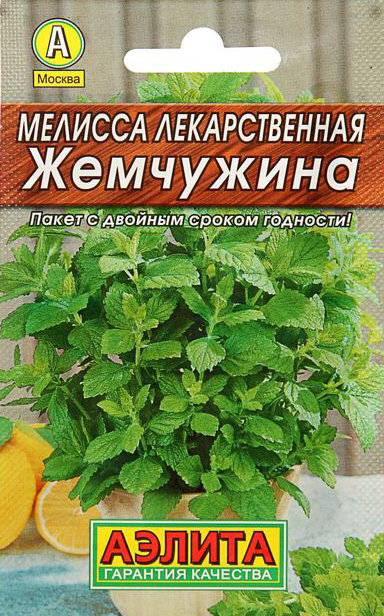 Мелисса Жемчужина: описание сорта, характеристики, агротехника посадки ...