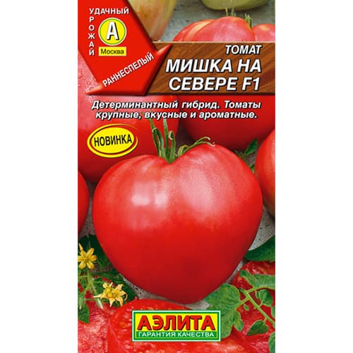 Томат Мишка на Севере: описание сорта помидоров, характеристики ...