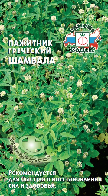 Пажитник греческий Шамбала (Седек): описание растения, фото ...
