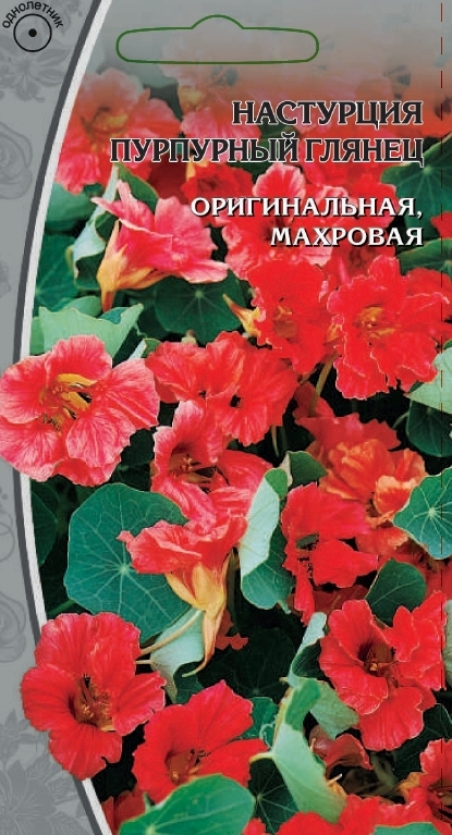 Настурция Пурпурный глянец: описание сорта, характеристики, особенности ...