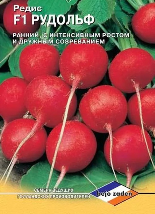 Редис Рудольф: описание и характеристики сорта, особенности посадки и ...