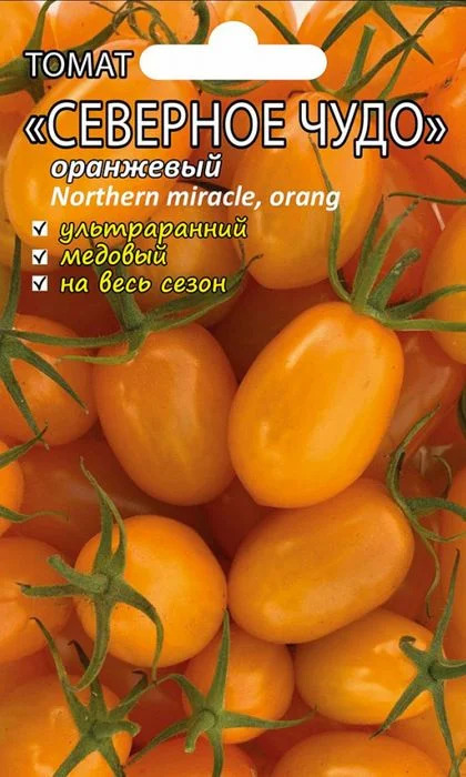 Томат Северное чудо оранжевый: описание сорта помидоров, характеристики ...