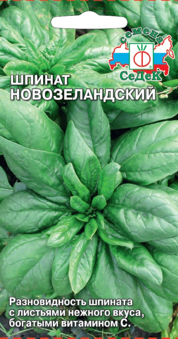 Шпинат новозеландский: описание сорта, характеристики, агротехника ...