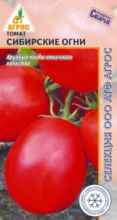 Томат Сибирские огни: описание сорта помидоров, характеристики ...