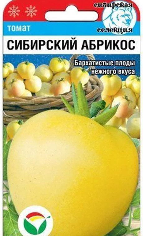 Томат Сибирский абрикос: описание сорта помидоров, характеристики ...
