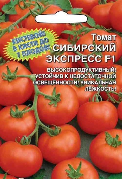 Томат Сибирский экспресс: описание сорта помидоров, характеристики ...