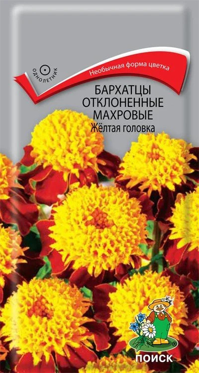 Бархатцы Желтая головка: описание и характеристики сорта бархоток ...