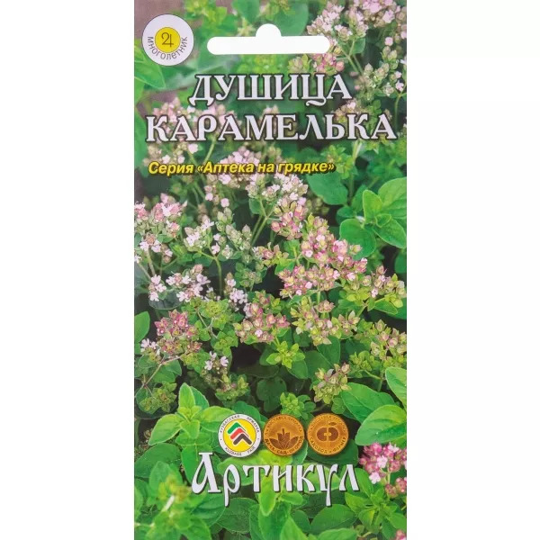 Душица Карамелька: описание сорта, характеристики, агротехника посадки ...