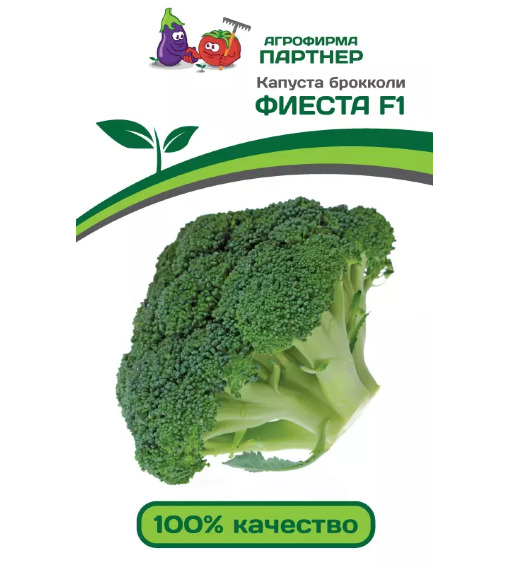 Капуста брокколи Фиеста: описание и характеристики сорта, особенности ...