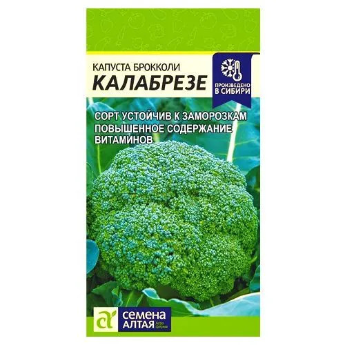 Капуста брокколи Калабрезе: описание и характеристики сорта ...